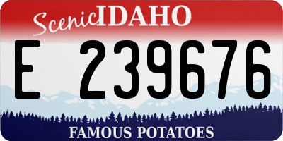 ID license plate E239676