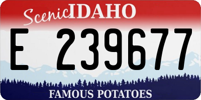 ID license plate E239677