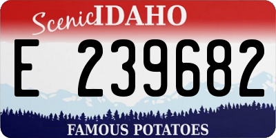 ID license plate E239682