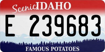 ID license plate E239683