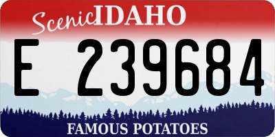 ID license plate E239684