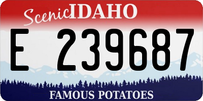 ID license plate E239687