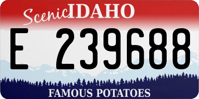 ID license plate E239688