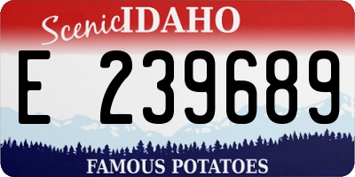 ID license plate E239689