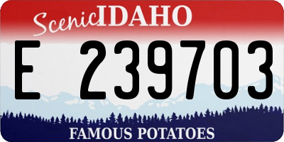 ID license plate E239703
