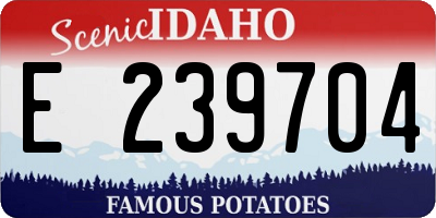 ID license plate E239704