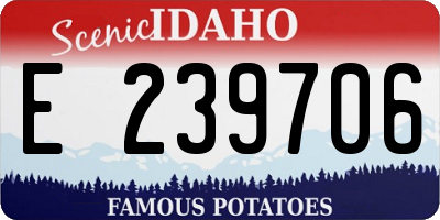 ID license plate E239706