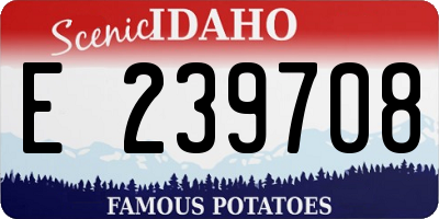 ID license plate E239708