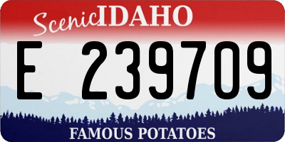 ID license plate E239709