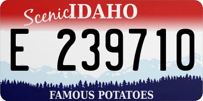 ID license plate E239710