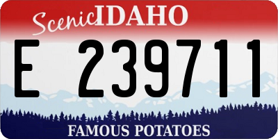 ID license plate E239711