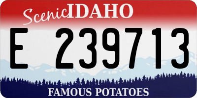 ID license plate E239713