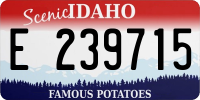 ID license plate E239715