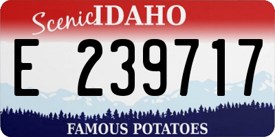 ID license plate E239717