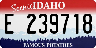 ID license plate E239718