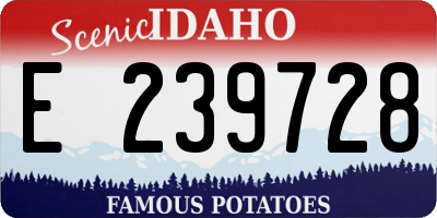 ID license plate E239728