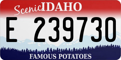 ID license plate E239730