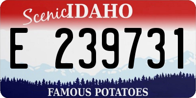 ID license plate E239731