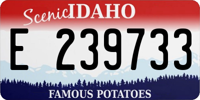 ID license plate E239733