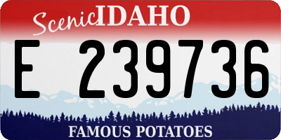 ID license plate E239736