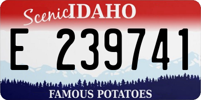 ID license plate E239741
