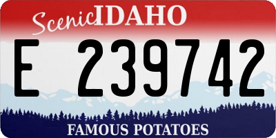 ID license plate E239742