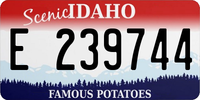 ID license plate E239744