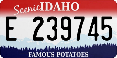 ID license plate E239745