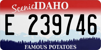 ID license plate E239746