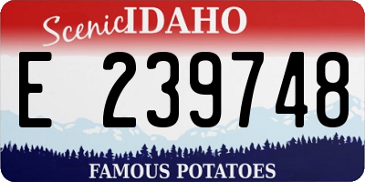 ID license plate E239748