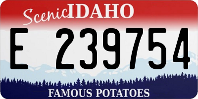 ID license plate E239754