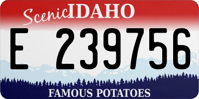ID license plate E239756