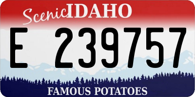 ID license plate E239757