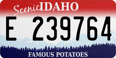 ID license plate E239764