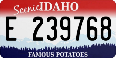 ID license plate E239768