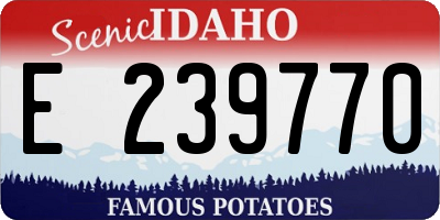 ID license plate E239770