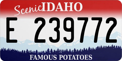 ID license plate E239772