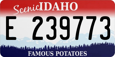 ID license plate E239773