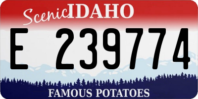 ID license plate E239774