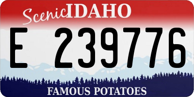 ID license plate E239776
