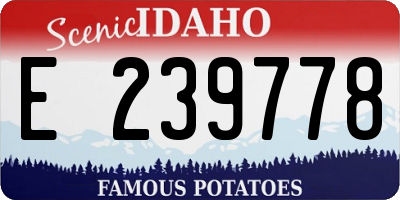 ID license plate E239778