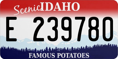 ID license plate E239780