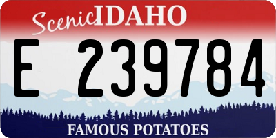 ID license plate E239784