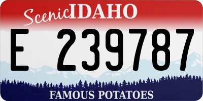 ID license plate E239787