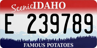 ID license plate E239789