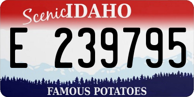 ID license plate E239795