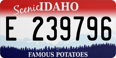 ID license plate E239796