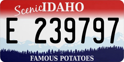 ID license plate E239797