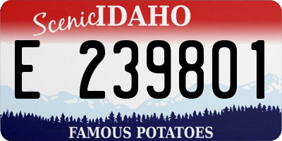 ID license plate E239801