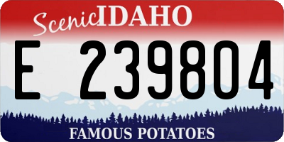 ID license plate E239804